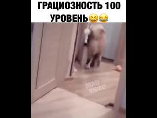 Женственность девушки судя по смеху левел сотка😍😂