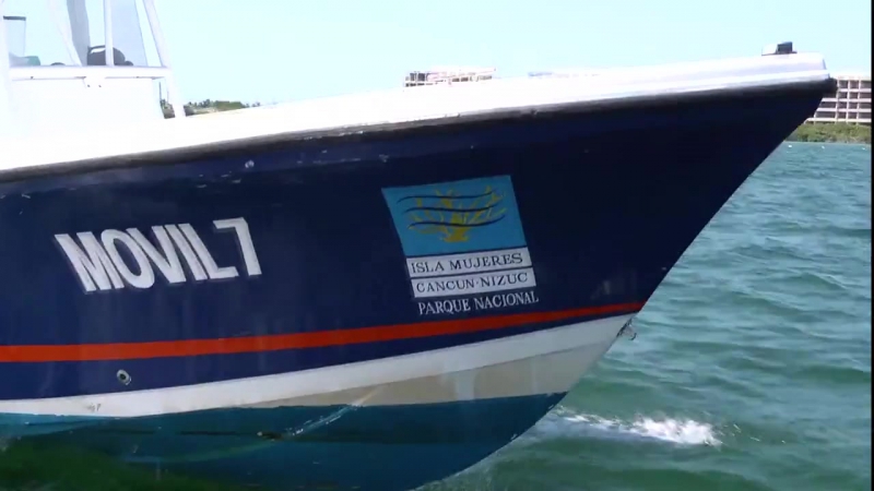 Ангел азул (angel azul)