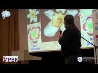 Чуб в в позиционная информация, или как создать виртуальное растение futurebiotech