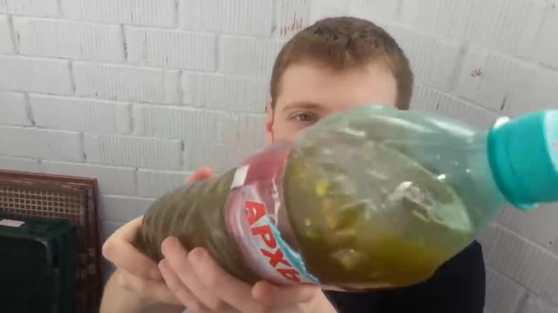 [репейник и ватник] вжлинк устроил всем прием питон