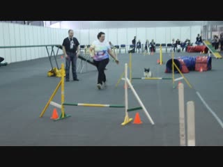 Квалификация а2 дробышева оксана и папийон плюша