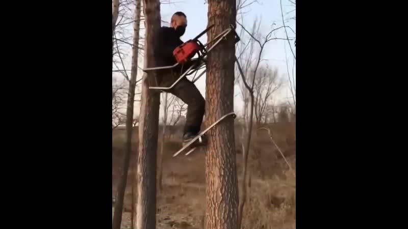 Интересная задумка bynthtcyfz pflevrf