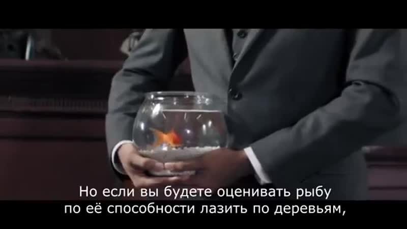 Суд над современной системой образования