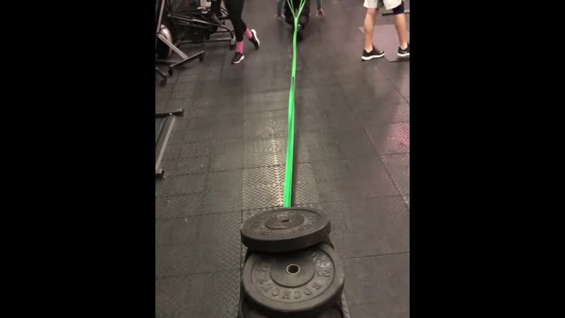 Гога возомнил себя муравьем