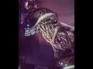 Marco bell 20200523 200004 0 mp4