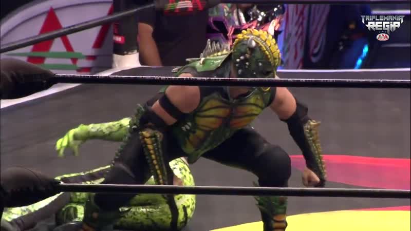 Aaa triplemania regia