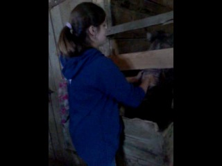 Приємні будні на конюшні =) в головних ролях аня і мирабель ахахаха)