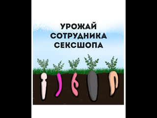 Урожай сотрудника сексшопа