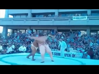 Сумо такого вы еще не видели