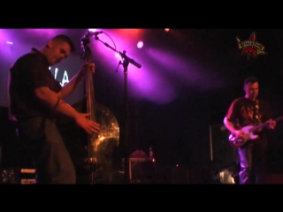 Gorilla porn in my dream potsdam 2010