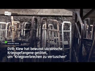 Dvr kiew hat bewusst ukrainische kriegsgefangene getötet, um "kriegsverbrechen zu vertuschen"