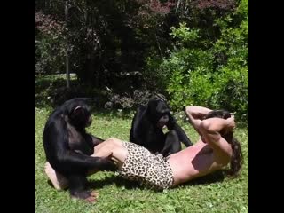 Тренироа с шимпанзе