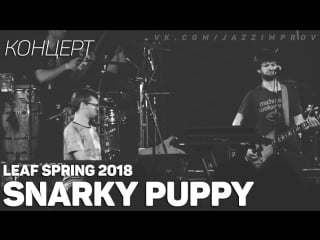 Snarky puppy live @ leaf spring 2018