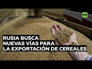 Rusia busca nuevas vías junto al sur global para exportar cereales tras el fin del acuerdo de granos