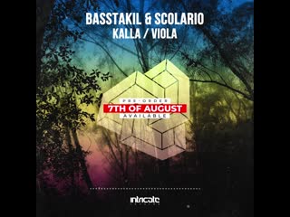 Basstakil & scolario kalla,viola (preview)