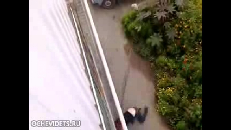 Падает porn video – Девушка убегает через окно, ну разумеется падает