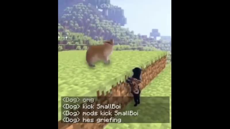 Всратые видеоролики