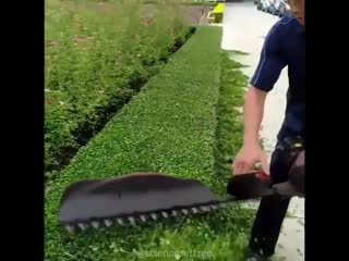 Красивая стрижка кустов