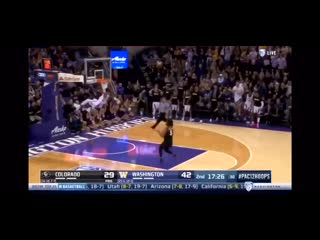 Matisse thybulle with incredible steal and speed & finishes with slam dunk