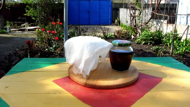 Рецепт алкогольной настойки на черносливе