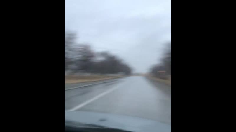 Өнер қырандары