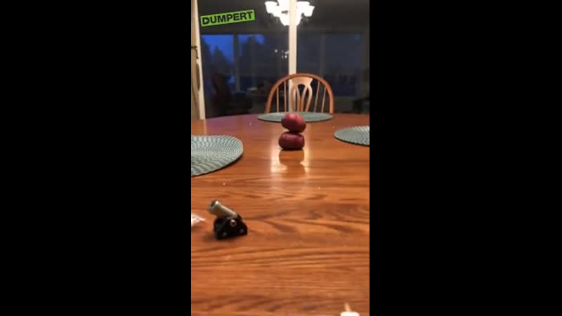 Небольшой арбалет