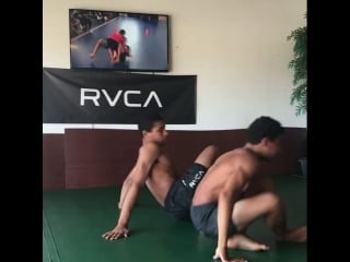 Домашние no gi дриллы братьев руотоло