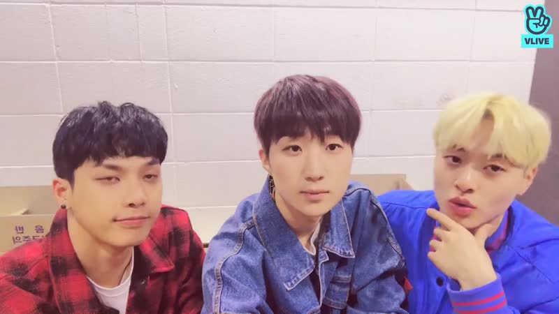 Trei on v live