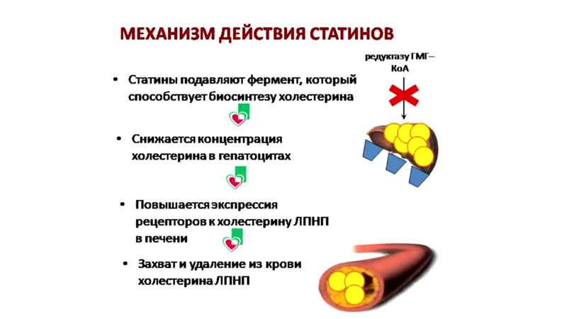 [юрий андреевич фролов] как повысить тестостерон естественным путем! главные причины и последствия низкого тестостерона