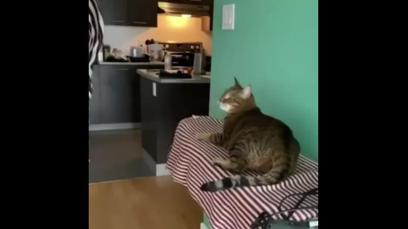 Ленка сама виновата