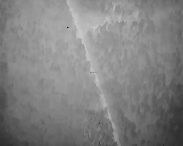 Беларусские силовики провели группу мигрантов через границу польши и сбежали при появлении польских пограничников