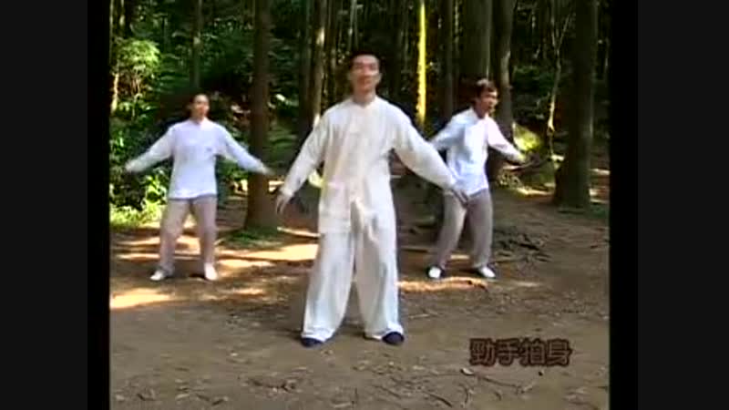 Разминка тайцзи 20