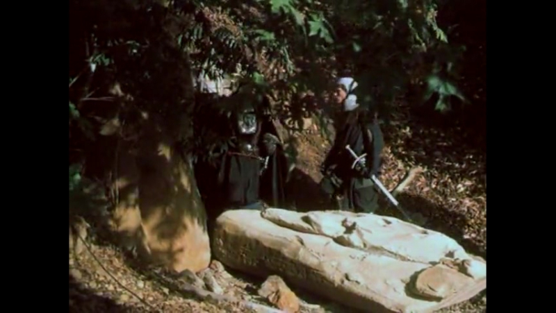 Тайна рыцарей дельты (1993)