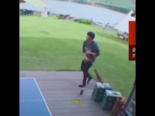 Летим в хогвартс