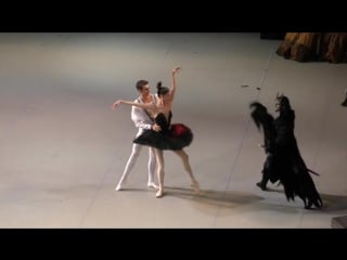 3 ) 15 09 18 andrea lassakova debut in swan lake act iii odile entree and pdd