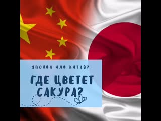 Slideshow 248 20190424 8os6wt mp4