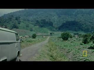 Dians active conservation dian fossey secrets in the mist