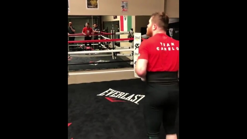 Сауль альварес отрабатывает нырки и уклоны