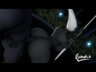 4040531 hollow knight hornet animated rumakis