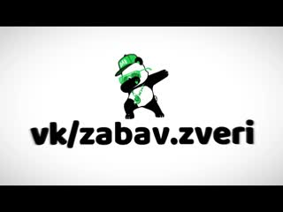 Zabav zveri