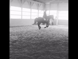 Adelaide kane on instagram “guess who learned how to sustain a canter today! #