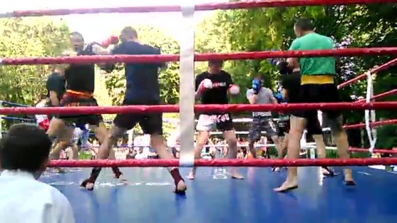 Показательные спарринги