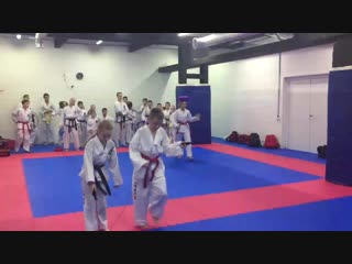 Заключительная тренироа в клубе таэквон до «волна» 28 12 2018 г
