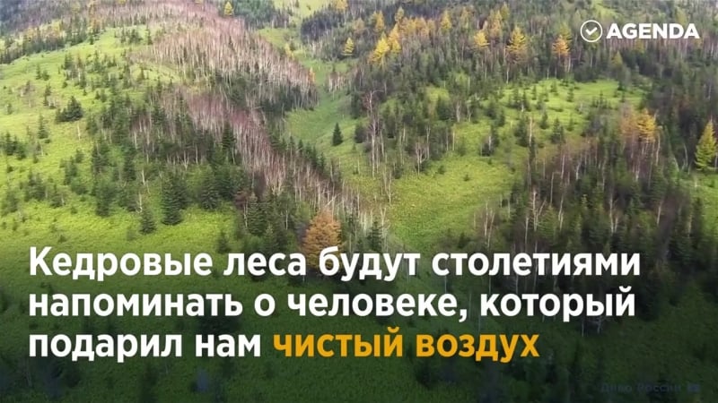 Человек посадил сотни тысяч деревьев а ты человек?