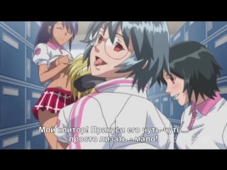 Kansen ball buster