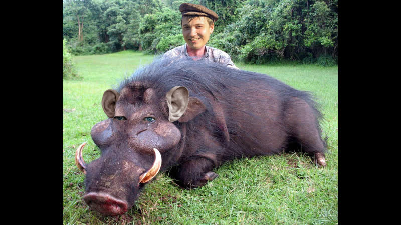 Глад валакас перевозка цистерны со спермой в г боров