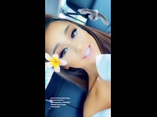 Новое видео из instagram stories паблик shine ariana