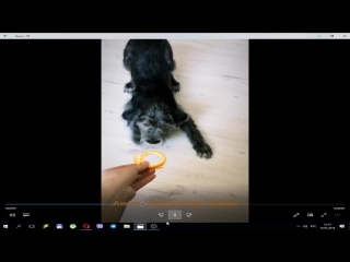 Щеноквдарминск porn videos - BEST XXX TUBE