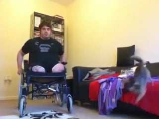 Murphy the bilateral amputee modeling my new wheelchair part 2 stumps stumps