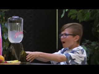We turn a little girl s goldfish into a delicious smoothie пранк